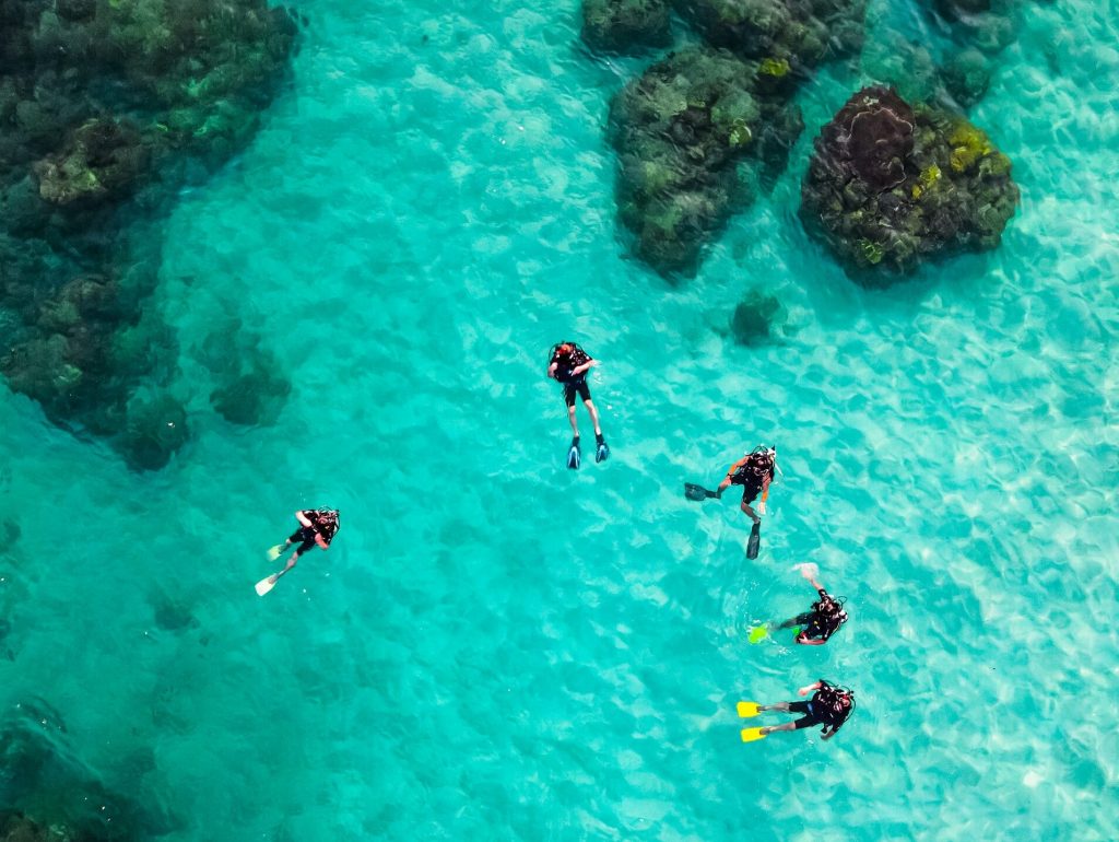 Birdseye view of five people scuba diving in clear water