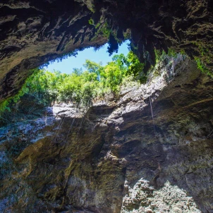 a cavern opening displaying the sky and trees above