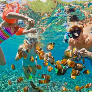 a family snorkeling with exotic fish