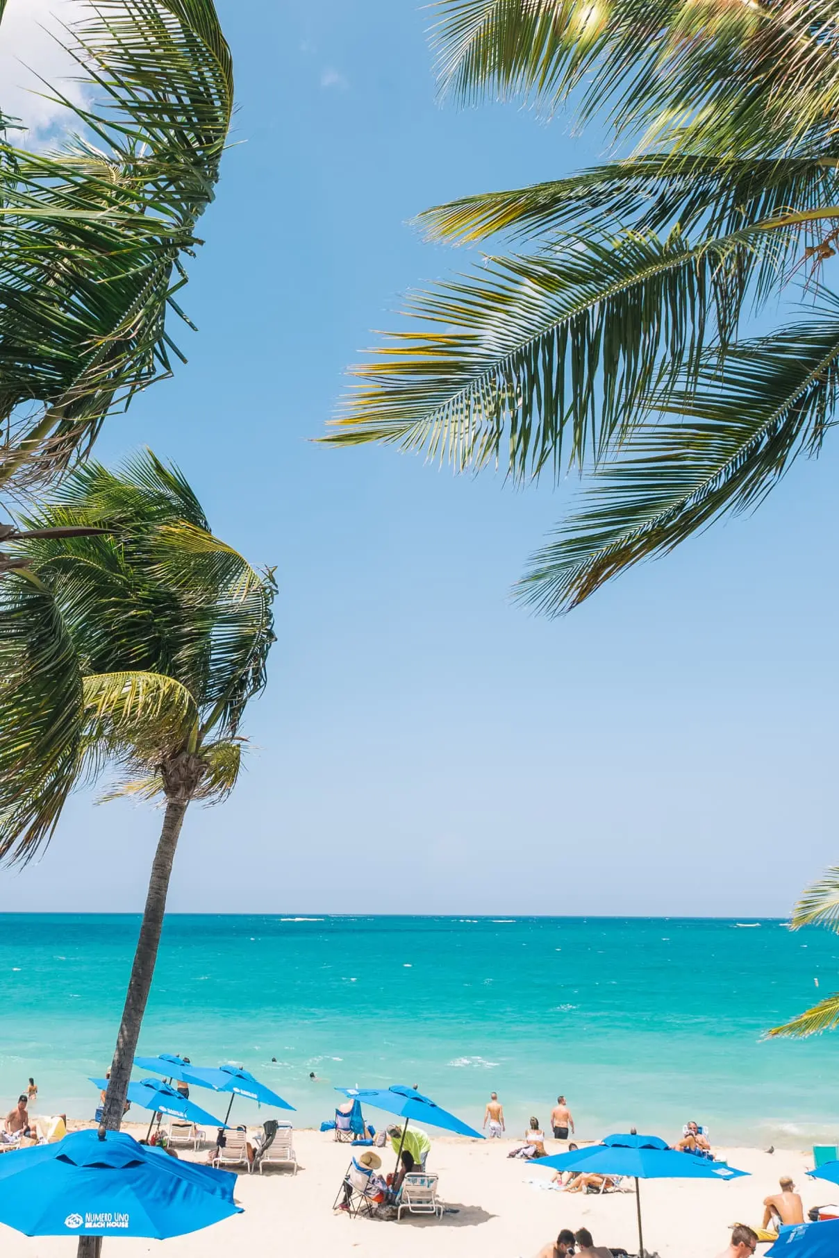 a view of the beautiful blue ocean